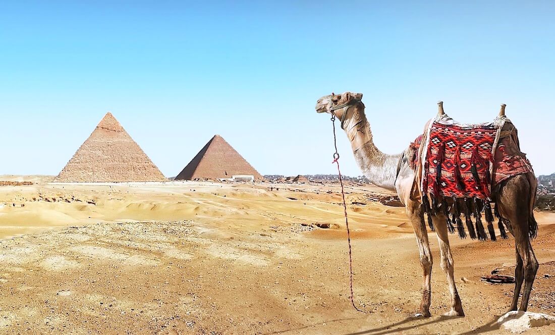 trip image